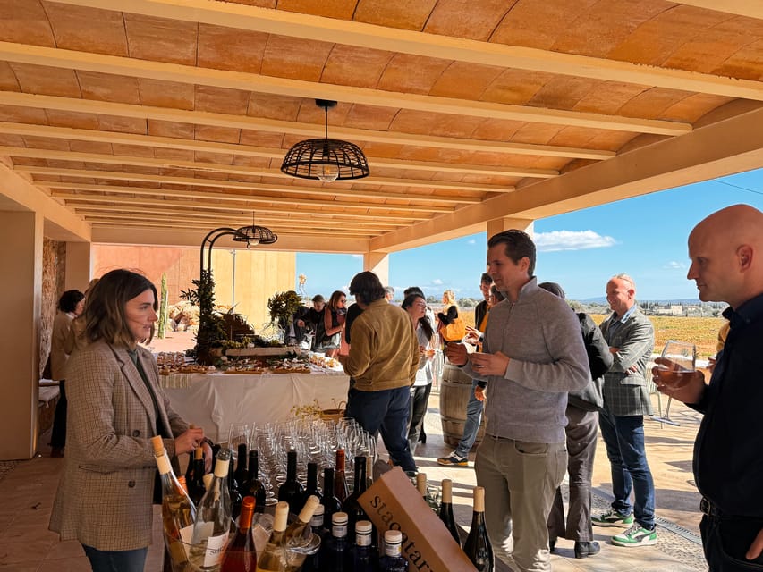 Weinsonntag auf Mallorca - Wine Sundays on Mallorca: The Easy-Going Winery Night You Can Plan Around