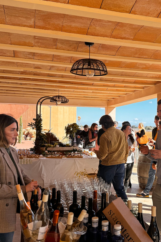 Weinsonntag auf Mallorca - Service Style and Language: English or German Hosts