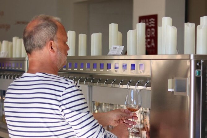 Wine tasting with wines from the smallest wineries in Mallorca - Snacks, lounge time, and extra pours from the dispenser